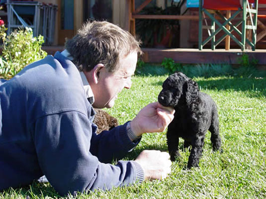 �h�b�O�E���b�W