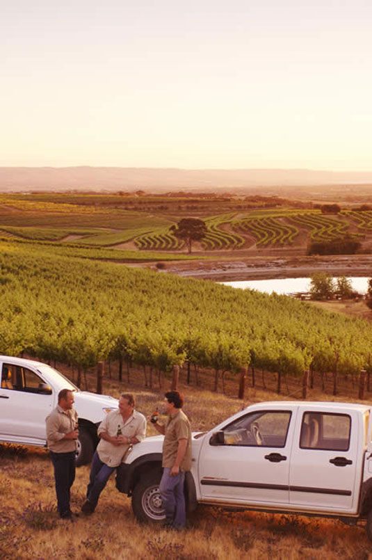 �h�b�O�E���b�W