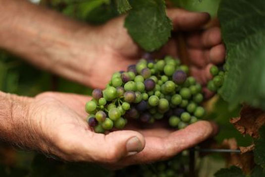 �t���b�O���A �N���[�N