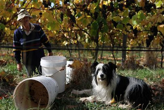 �t���b�O���A �N���[�N