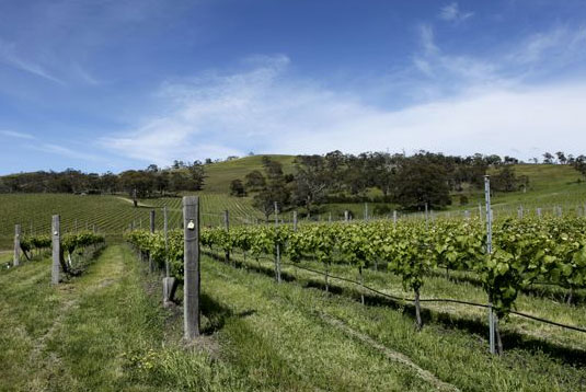 �t���b�O���A �N���[�N