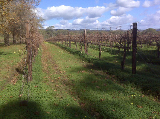 �^�[�r���N