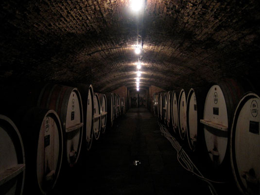 �^�[�r���N