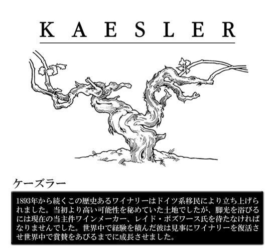 �P�[�Y���[