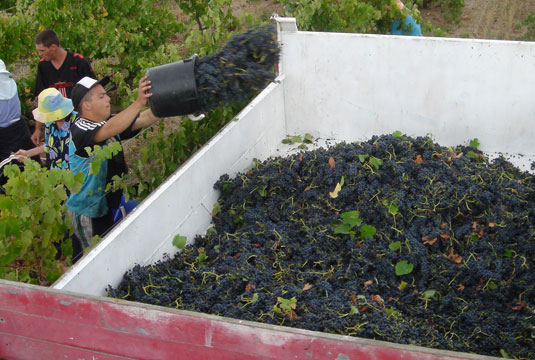 �P�[�Y���[