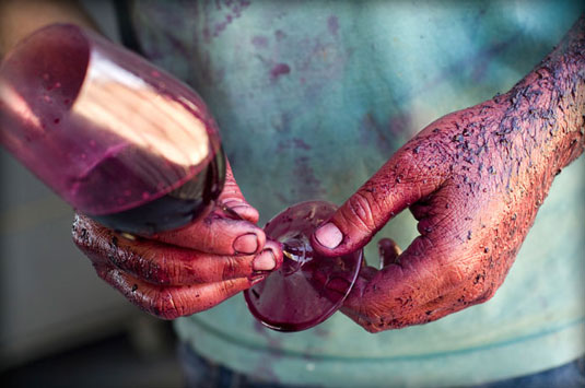 �X�s�j�t�F�b�N�X